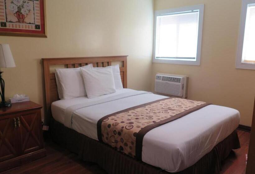 스탠다드 룸, Dtla