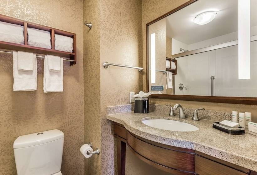 스탠다드 룸 더블 침대 2개, Hampton Inn Manhattan Grand Central