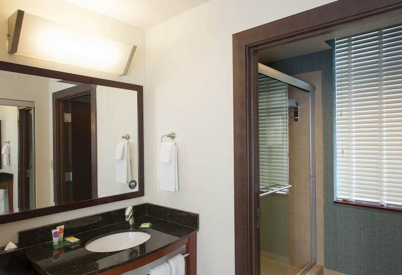 Люкс Кровать Кинг, Hyatt Place Des Moines/downtown