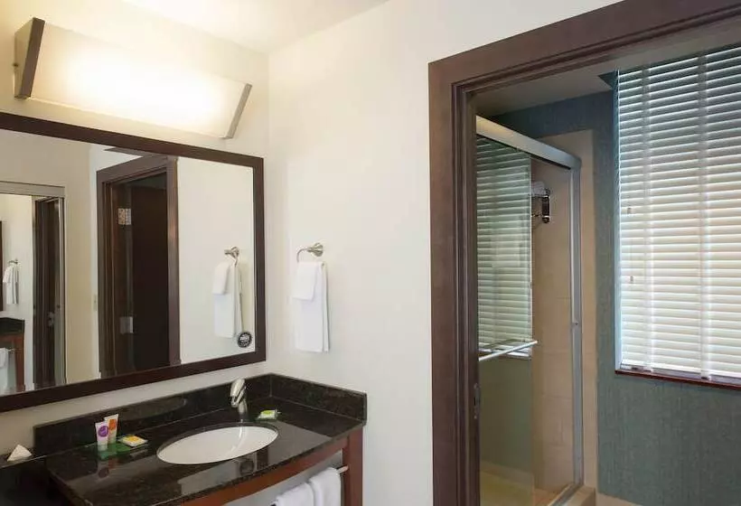 Sviitti King-vuode, Hyatt Place Des Moines/downtown