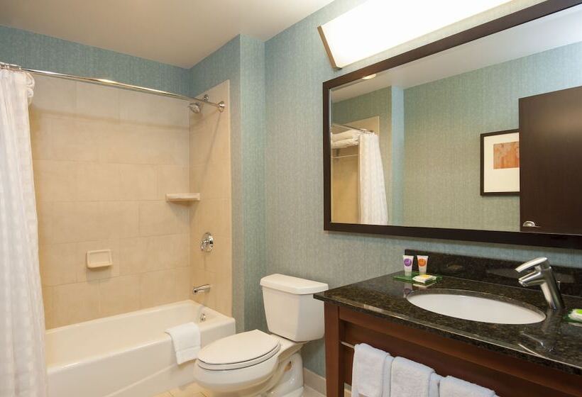 Люкс Кровать Кинг, Hyatt Place Des Moines/downtown