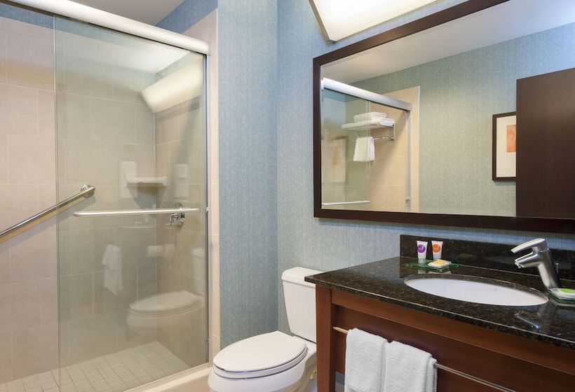 Люкс Адаптированный для Инвалидов, Hyatt Place Des Moines/downtown