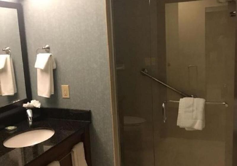 Стандартный Номер Кровать Кинг, Hyatt Place Des Moines/downtown