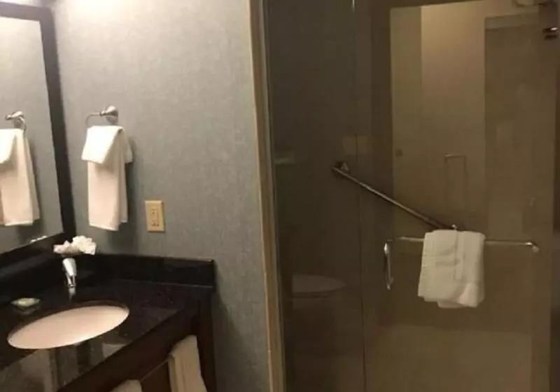 Standard-huone King-vuode, Hyatt Place Des Moines/downtown