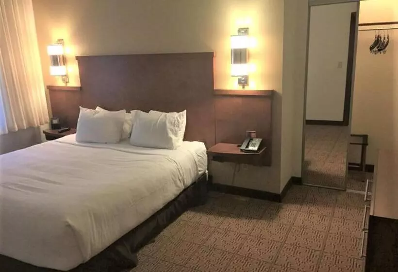 Standard-invahuone King-vuode, Hyatt Place Des Moines/downtown