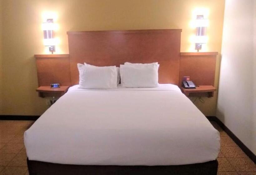 Номер Стандарт Кровать Кинг Адаптированный для Инвалидов, Hyatt Place Des Moines/downtown