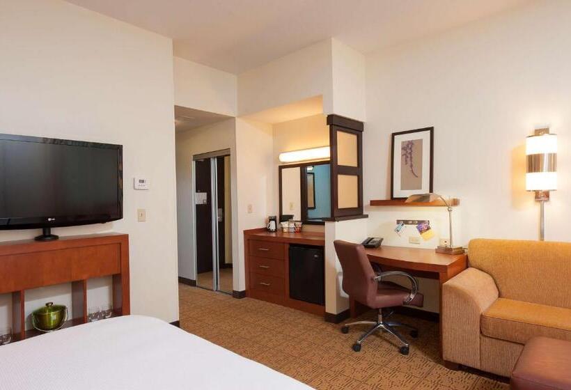 Номер Стандарт Кровать Кинг Адаптированный для Инвалидов, Hyatt Place Des Moines/downtown