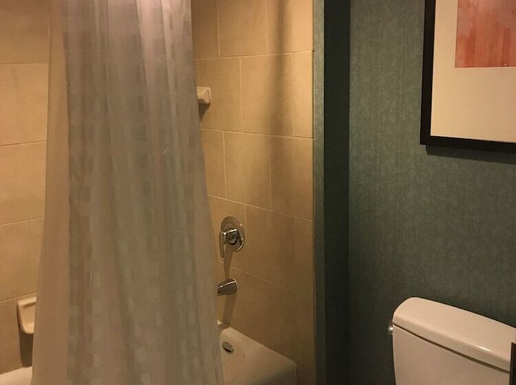 Номер Стандарт 2 Двуспальные Кровати, Hyatt Place Santa Fe
