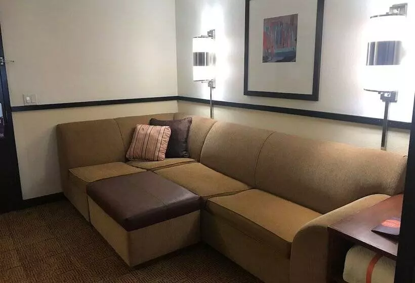 اتاق استاندارد با 2 تخت دوبل, Hyatt Place Santa Fe