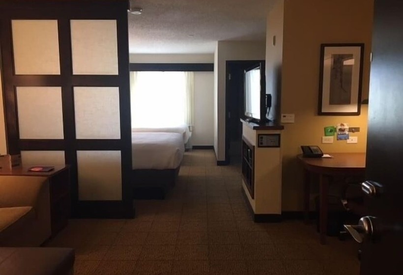 Номер Стандарт 2 Двуспальные Кровати, Hyatt Place Santa Fe