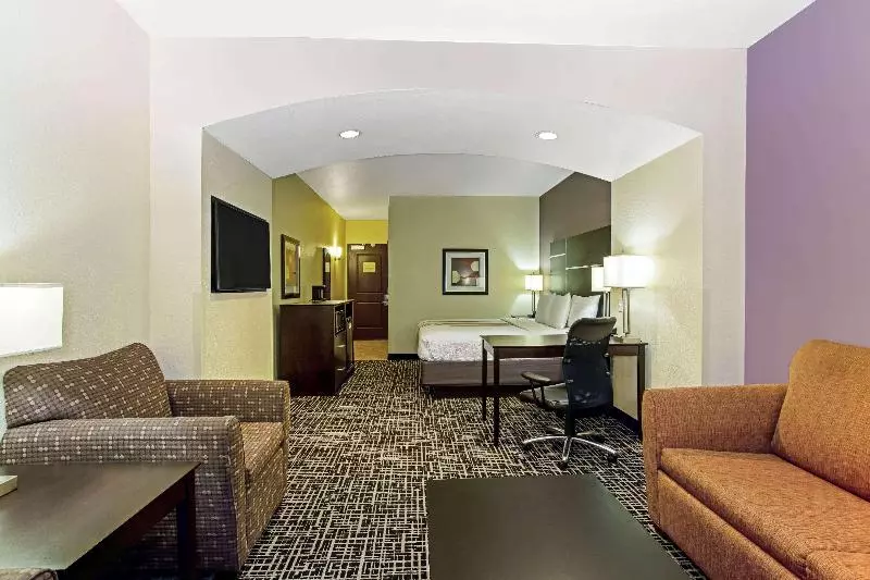 キングサイズベッドのデラックスルーム, La Quinta By Wyndham Denver Gateway Park