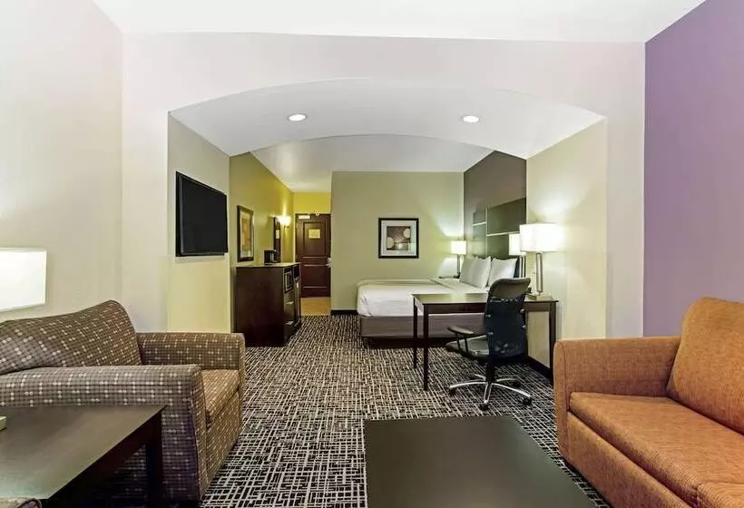 デラックスルーム, La Quinta By Wyndham Denver Gateway Park