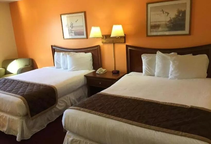 スタンダードルーム, Lake Tree Inn & Suites