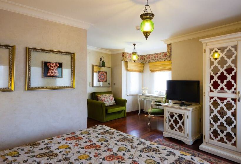 高级大房间, İstanbul Bosphorus Hotel Symbola