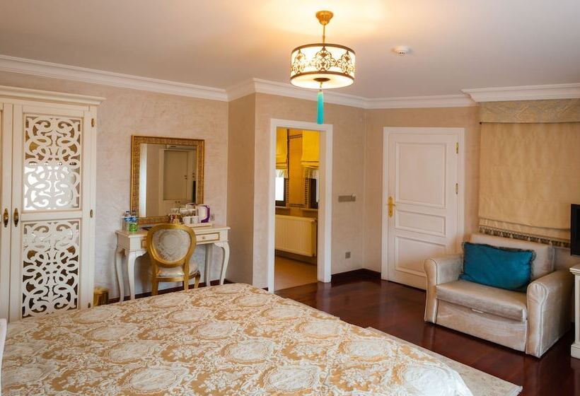 חדר סופריור, İstanbul Bosphorus Hotel Symbola