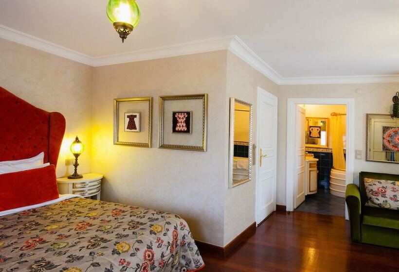 高级大房间, İstanbul Bosphorus Hotel Symbola