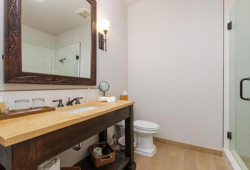 Büyük Çift Kişilik Yataklı Delüks Oda, The Dundee   A Trace