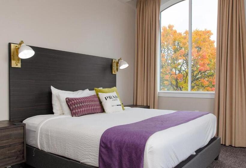 Büyük Çift Kişilik Yataklı Delüks Oda, The Dundee   A Trace