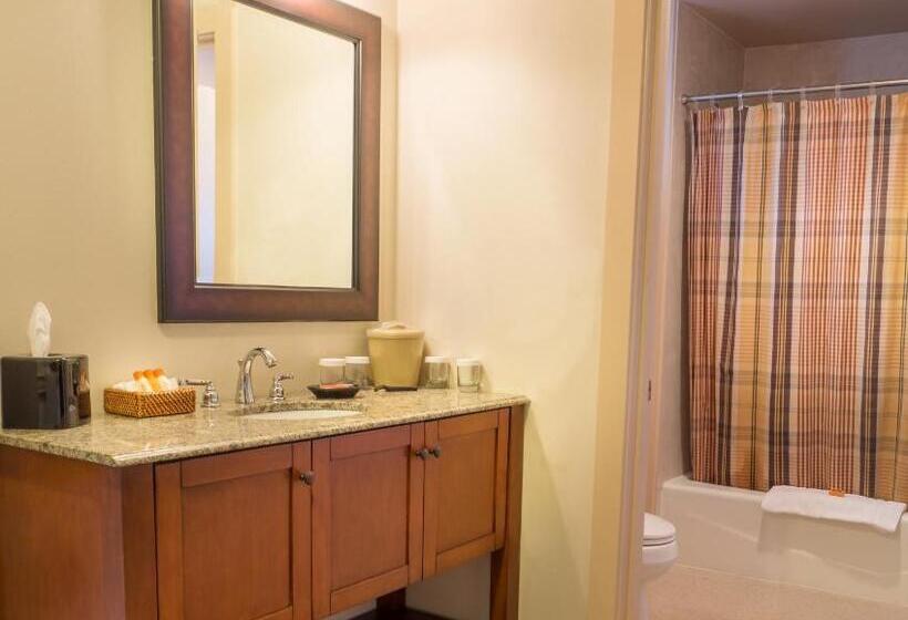 غرفة قياسية سرير كينج, Wine Country Inn