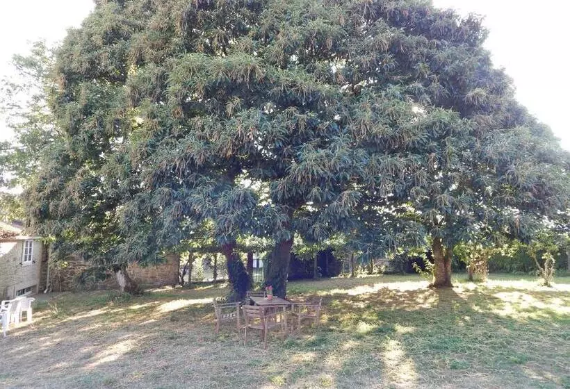 3ベッドルームハウス, Pensión Albergue De Logrosa