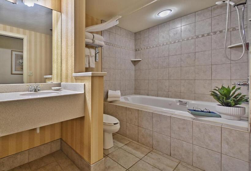 חדר דחוקס עם מיטת קינג, Four Seasons Island Resort