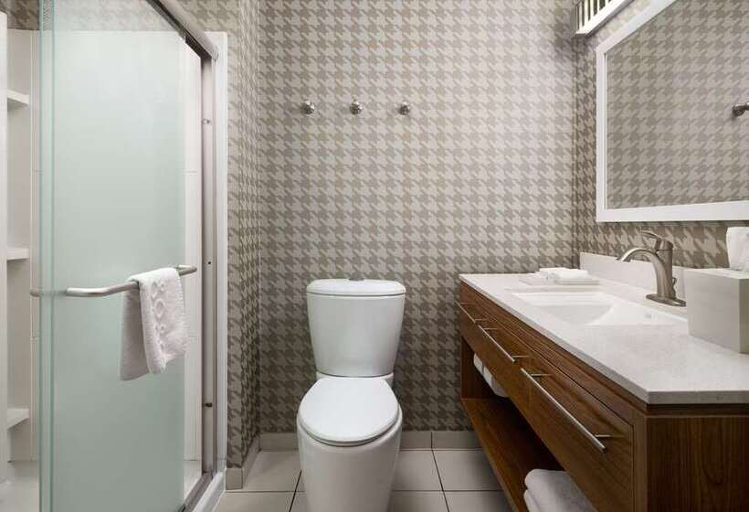 استودیوی استاندارد, Home2 Suites By Hilton Nashville Vanderbilt, Tn