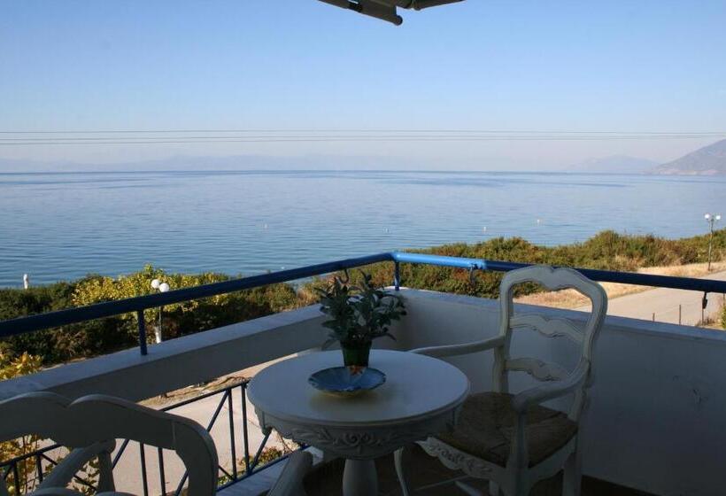 סוויטת ג'וניור, Agnadi