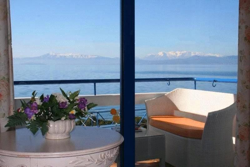 סוויטת ג'וניור, Agnadi