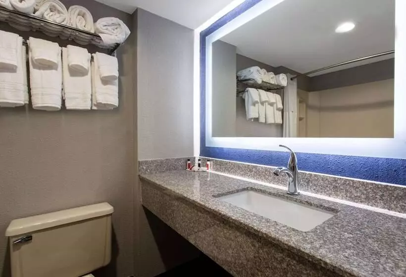 ２ダブルベッドのスタンダードルーム, Surestay By Best Western Greenville