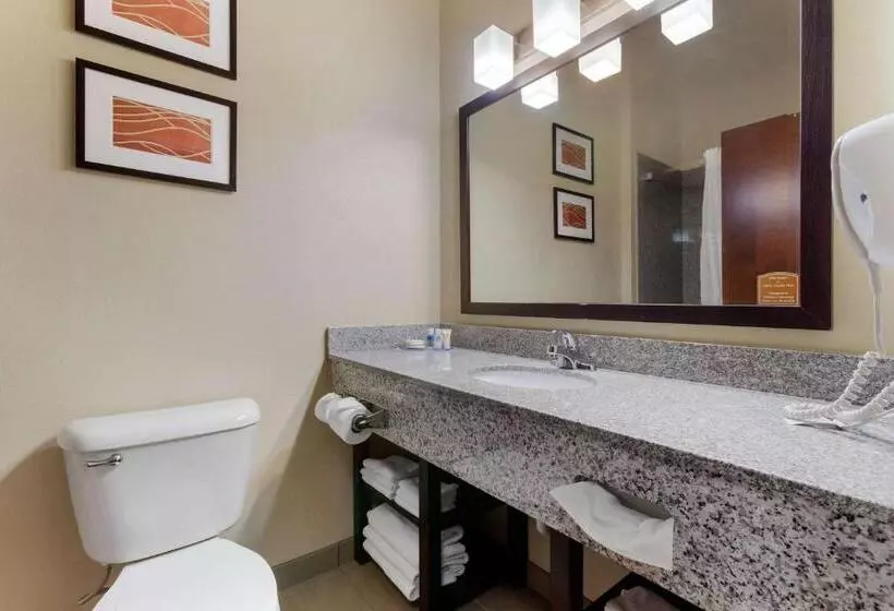 اتاق استاندارد با تخت بزرگ, Comfort Inn & Suites Page At Lake Powell