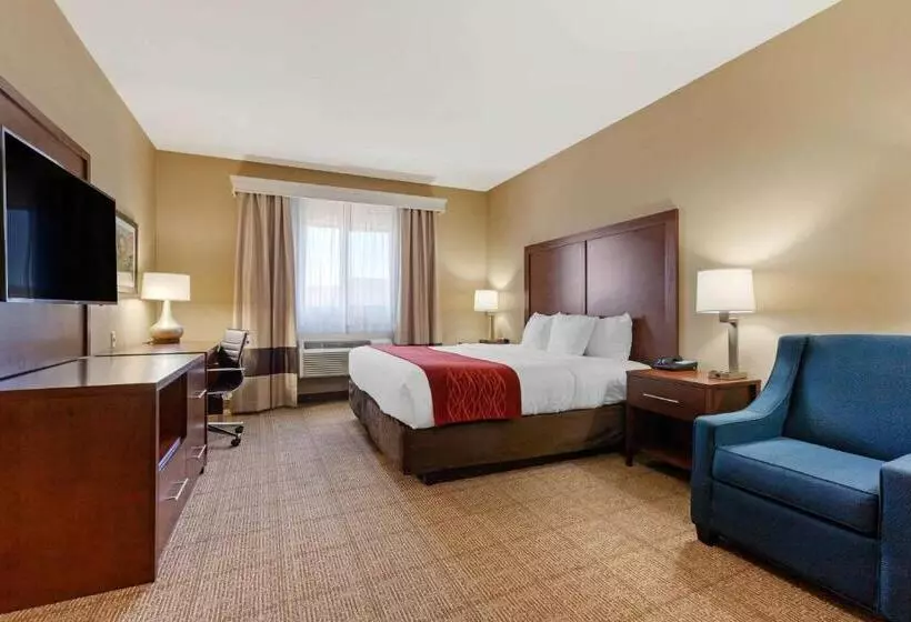 اتاق استاندارد با تخت بزرگ, Comfort Inn & Suites Page At Lake Powell
