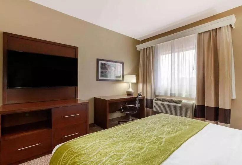 اتاق استاندارد, Comfort Inn & Suites Page At Lake Powell