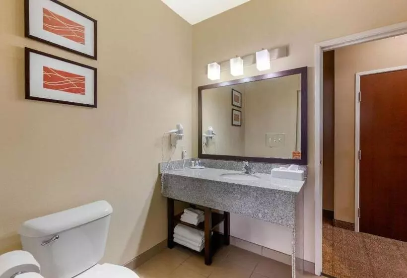 سوئیت با تخت بزرگ, Comfort Inn & Suites Page At Lake Powell