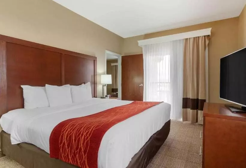اتاق لوکس با تخت بزرگ, Comfort Inn & Suites Page At Lake Powell