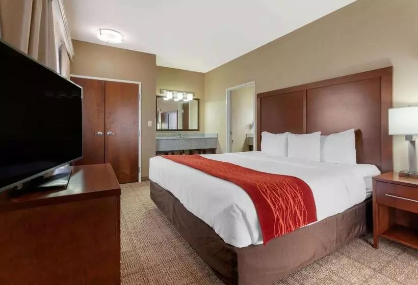 اتاق لوکس با تخت بزرگ, Comfort Inn & Suites Page At Lake Powell