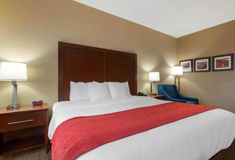 اتاق استاندارد با تخت بزرگ برای معلولان, Comfort Inn & Suites Page At Lake Powell