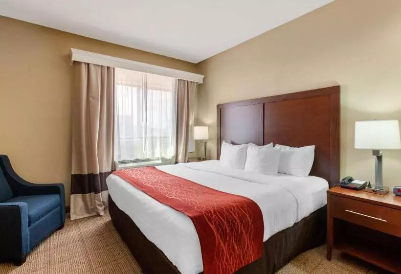 اتاق استاندارد با تخت بزرگ برای معلولان, Comfort Inn & Suites Page At Lake Powell