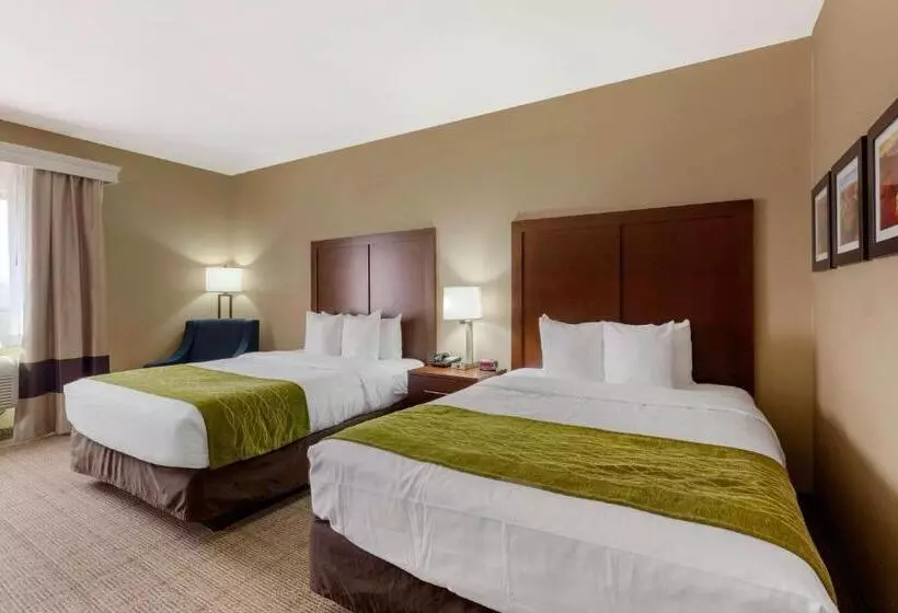 اتاق استاندارد برای معلولان, Comfort Inn & Suites Page At Lake Powell