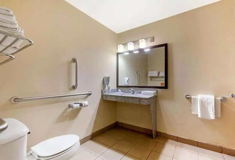 اتاق استاندارد برای معلولان, Comfort Inn & Suites Page At Lake Powell