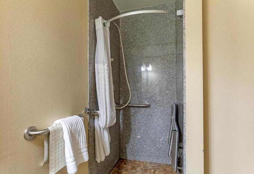 Номер Стандарт Адаптированный для Инвалидов, Comfort Inn & Suites Page At Lake Powell