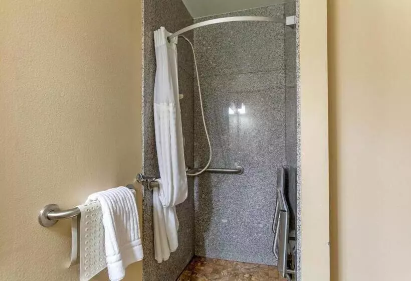 اتاق استاندارد برای معلولان, Comfort Inn & Suites Page At Lake Powell
