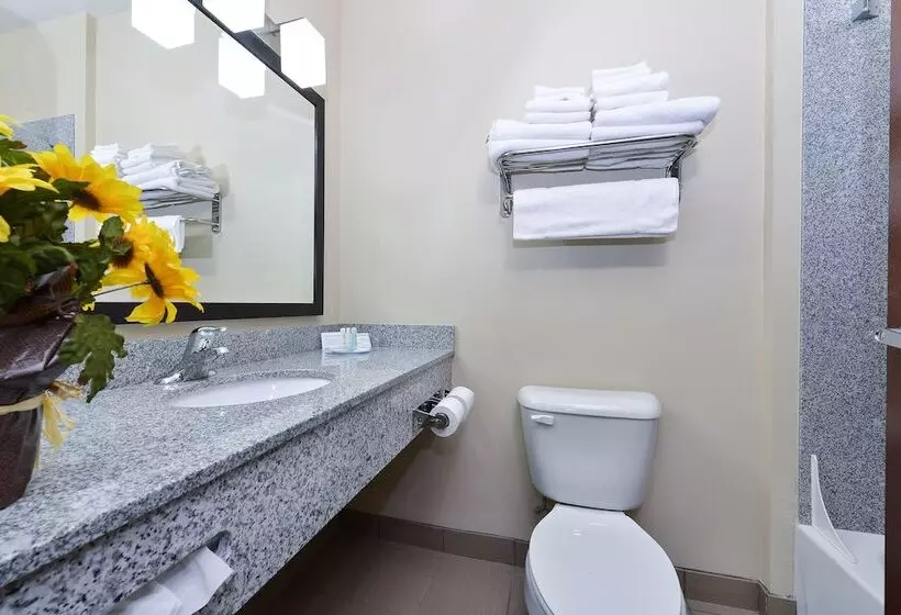 اتاق استاندارد با 2 تخت دوبل, Comfort Inn & Suites Page At Lake Powell