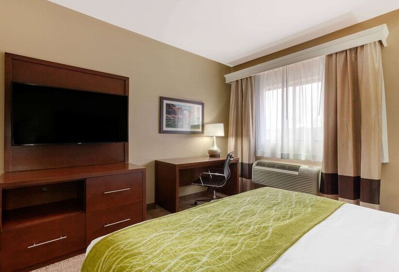 غرفه قياسيه سريرين مزدوجين, Comfort Inn & Suites Page At Lake Powell