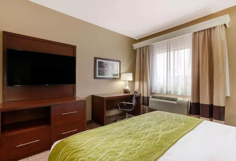 اتاق استاندارد با 2 تخت دوبل, Comfort Inn & Suites Page At Lake Powell