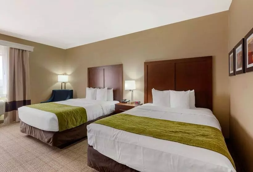 اتاق استاندارد با 2 تخت دوبل, Comfort Inn & Suites Page At Lake Powell