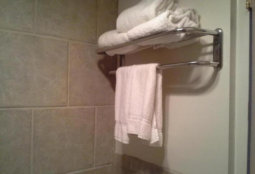 غرفة قياسية سرير كينج, Days Inn By Wyndham Delta Co