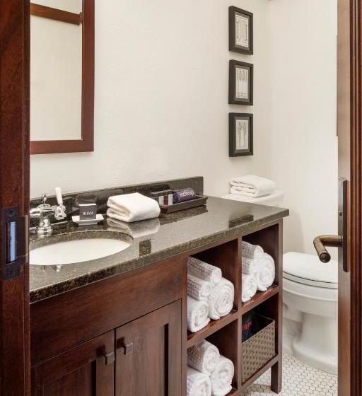 חדר דחוקס עם מיטת קינג, The Historic Park Inn