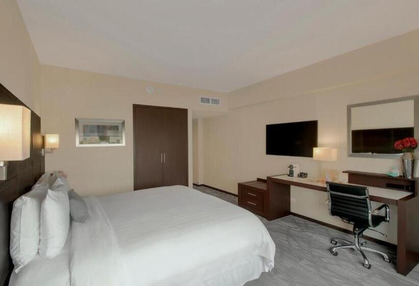 キングサイズベッドのスタンダードルーム, Novit