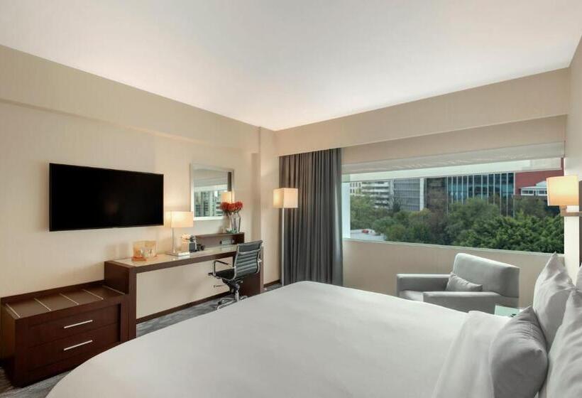 キングサイズベッドのスタンダードルーム, Novit