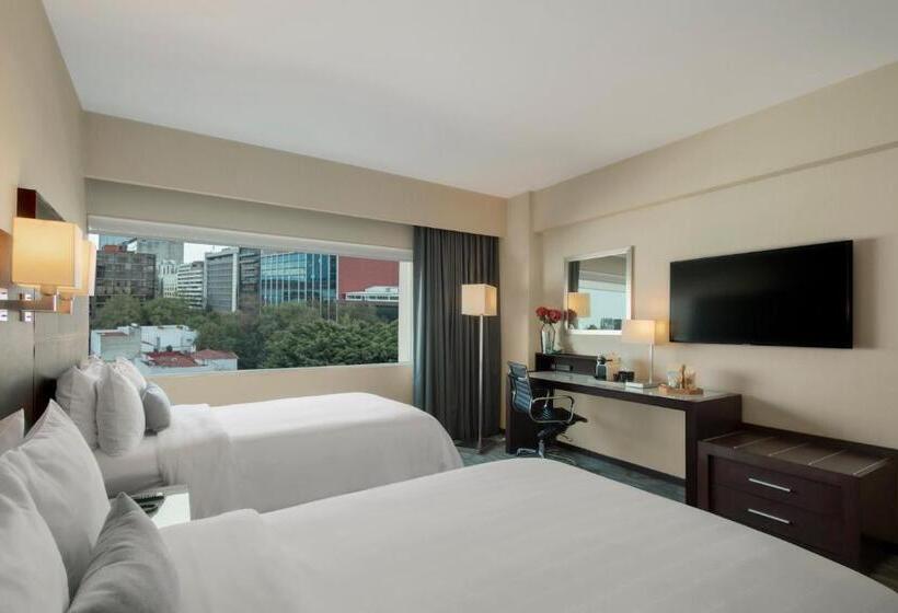 スタンダードルーム, Novit